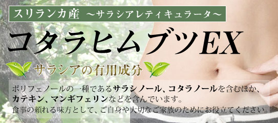 コタラヒムブツEX