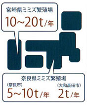 安定的なミミズの供給
