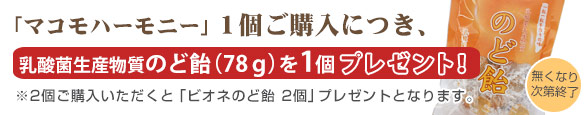 マコモ、プレゼントキャンペーン!