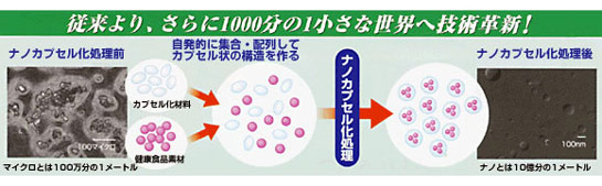 ナノ化