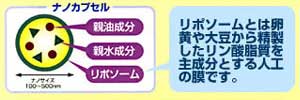 ナノ化
