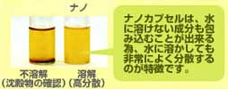 ナノ化