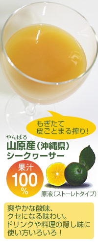 沖縄シークヮーサー