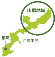 山原地域