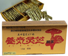 養気霊芝 純末(直井霊芝GY株100%)