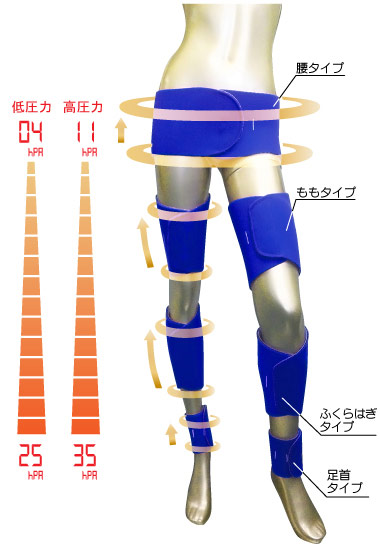 メディカルバイオラバー