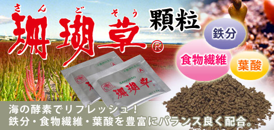 珊瑚草 顆粒 (サンゴ草)