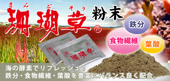 珊瑚草 粉末 (サンゴ草)