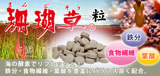 珊瑚草 粒 (サンゴ草)
