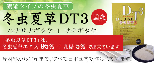 冬虫夏草 DT3