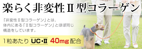 楽らく非変性U型コラーゲン