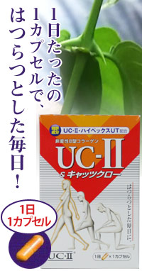 LbcN[iuUC-ULbcN[v