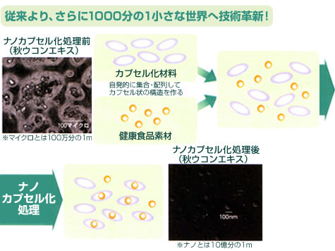 ナノカプセル化「秋ウコンエキス」