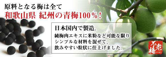 梅肉エキス粒