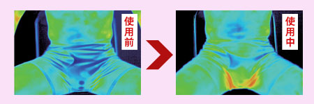 サーモグラフィ実証結果