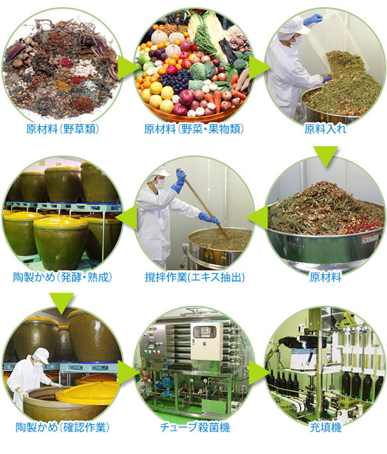 「野草酵素 萬葉」製造工程