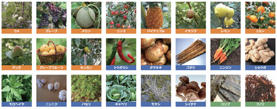 「野草酵素 萬葉」こだわりの原材料