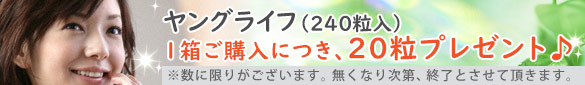 ヤングライフ、プレゼントキャンペーン!