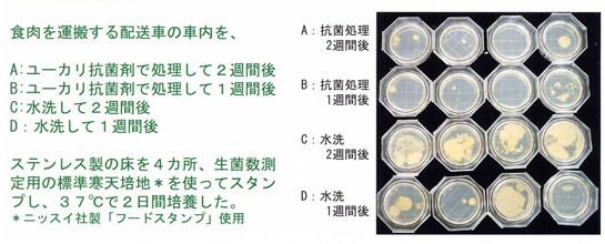 抗菌試験結果